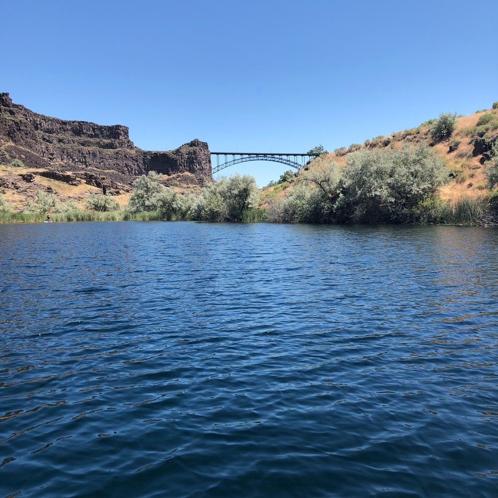 Meet your Posher, Yasmin